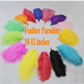Wholesale!!!  Ostrich Feathers 10-12 inches 1000 Pieces Black