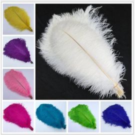 Off-White Ostrich Feathers 12-14 inches 12 Pieces