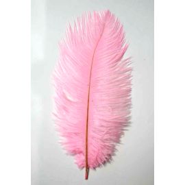 Baby Pink Ostrich Feathers Male Ostrich Wing Plumes Large Ostrich  24-26 inch 50 Pieces
