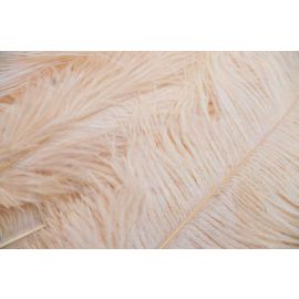 Beige/Champagne Ostrich Feathers 6-8 inch 100 Pieces