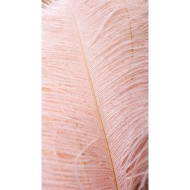 Blush Pink Peach Wedding Ostrich Feathers 14-16 inche  50 Pieces