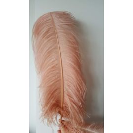 Blush Pink Ostrich Feathers/Plumes  22-24 inch 5 Pieces