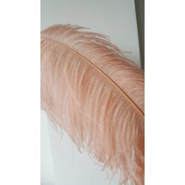 Blush Pink Ostrich Feathers Male Ostrich Wing Plumes  22-24 inch 50 Pieces