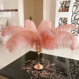 12-14 inches Blush pink Ostrich Feather  Ostrich Plume Feathers 12 pcs  Popular color!!!