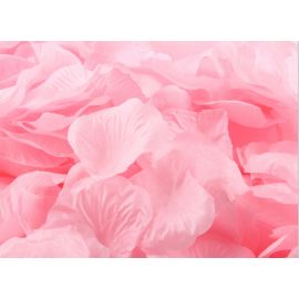 Silk Rose Petals Vase Filler Wedding Decor Table Confetti - Blush Pink 300 pcs