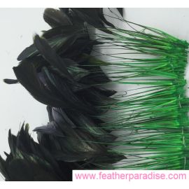100pcs 6-8 inches Stripped Dyed Coque Rooster Feathers Green (GA, USA)