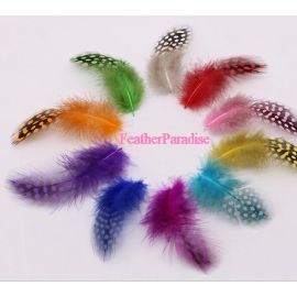 Guinea Plumage Loose Feathers Assorted Colors Package 7g/bag