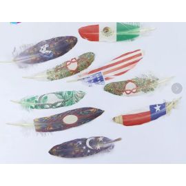 Customized Printed Goose Feathers 500pcs