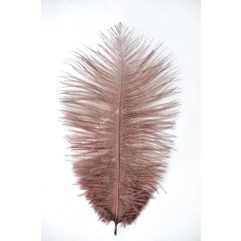 Chocolate Brown Ostrich Feathers/plumes 22-24 inch 12 Pieces