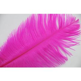 Fuchsia Ostrich Feathers 12-14 inch 12 Pieces