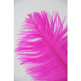 Fuchsia Ostrich Feathers 14-16 inch 12 Pieces