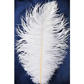 Sale!!! White Ostrich Feathers 8-10 inch 100 Pieces