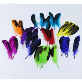 Duck Cosse Feathers Dyed Wild Duck Feathers 100pcs Fuchsia