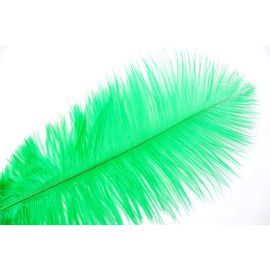 Green/ Emerald Green Ostrich Feathers 18-20 inch 50 Pieces