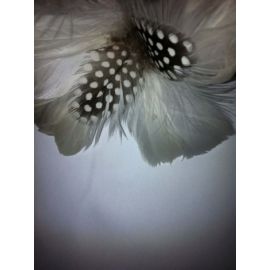 White/Black Feather Hat Pin/feather flower/Corsage /Feather Clips Boutonniere-001