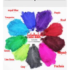 Wholesale!!!  Ostrich Feathers 12-14 inches 1000 Pieces Any colors in the picture