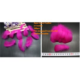 100 Pieces Packed Goose NAGOIRE Feathers Loose Feather  Feather Fillers Feather Confetti Fuchsia