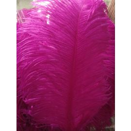 Fuchsia/Magenta Ostrich Feathers/ plume 18-20 inch 12 Pieces