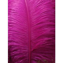 Fuchsia/Magenta Ostrich Feathers/ Plumes/Wings 22-24 inch 5 Pieces