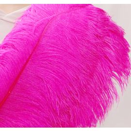Fuchsia magenta Ostrich Feathers/ plume 16-18 inch 12 Pieces