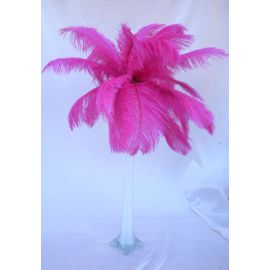 Fuchsia/Magenta Ostrich Feather Centerpieces/Feather Plume Palm Tree 6 Sets