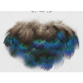 Blue Peacock Feathers 3 inches Natural Peacock Feathers 100pcs