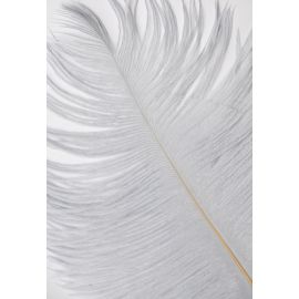 Gray Ostrich Feathers 10-12 inch 100 Pieces