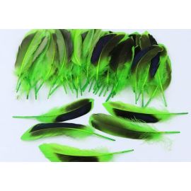 Duck Cosse Feathers Dyed Wild Duck Feathers 100pcs  Green