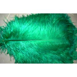 50pcs Green 25-29 inches Ostrich Wing Plume Large South Africa Ostrich Feathers