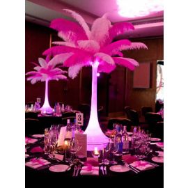 100 Light Pink Ostrich feathers for wedding centerpiece