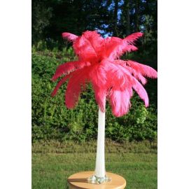 Hot Pink Ostrich Feather Centerpieces/Feather Plume Palm Tree 6 Sets