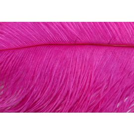 Fuchsia Ostrich Feathers Male Ostrich Wing Plumes 26-28 inch 12 Pieces
