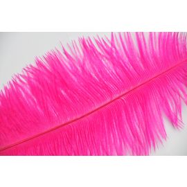 Hot Pink/Fuchsia Ostrich Feathers//Plumes 22-24 inch 50 Pieces