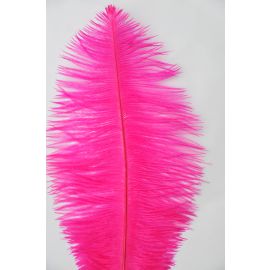 Hot Pink  Ostrich Feathers/plumes/Wings 22-24 inch 5 Pieces