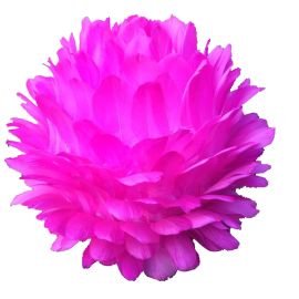 New version! 14 Inches Feather ball/Centerpieces Ball/Large Decorate Balls-Hot Pink