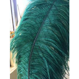 Hunter Green Ostrich Dark Green Scarlet Green Male Ostrich Wing Feathers 20-22 inches 12 Pieces