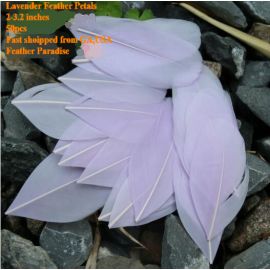 500 Pieces Feather Petals Feather Fillers Feather Confetti Lavender