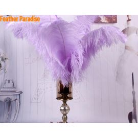Lavender/Lilac Ostrich Feathers 18-20 inch 50 Pieces