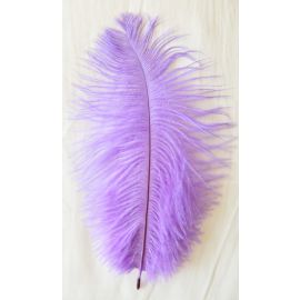 Lavender/Lilac Ostrich Feathers 10-12 inch 100 Pieces