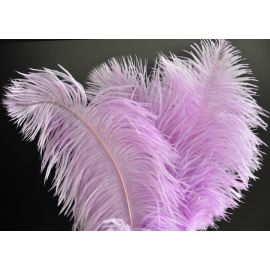 Lavender/Lilac Ostrich Feathers 8-10 inch 100 Pieces