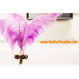 Lavender/Lilac Ostrich Feathers 16-18 inch 12  Pieces