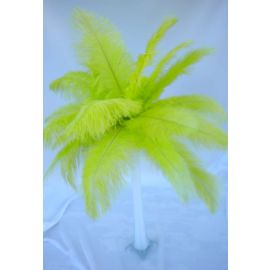 Lime Green Ostrich Feathers Centerpieces Feather Plume Palm Tree 6 Sets