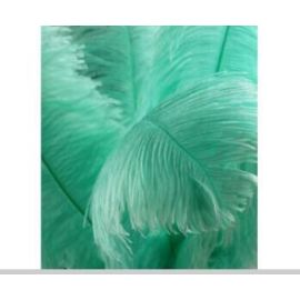 Mint Green Ostrich Feathers 12-14 inch 12 Pieces