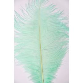 Mint Green Ostrich Feather Centerpieces 6 Sets
