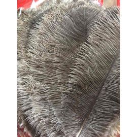 Nature/Undyed Ostrich Feathers 12-14 inches 12 Pieces for Crafts and Masks