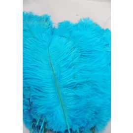 Turquoise Ostrich Feathers 10-12 inch 100 Pieces