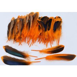 Duck Cosse Feathers Dyed Wild Duck Feathers 100pcs Orange