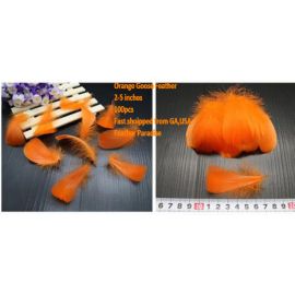 100 Pieces Packed Goose Nagorie Feathers Loose Feather  Feather Fillers Feather Confetti Orange