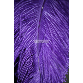 50pcs Purple 25-29 inches Ostrich Wing Plume Large South Africa Ostrich Feathers