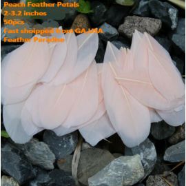 100 Pieces Feather Petals Feather Fillers Feather Confetti Peach
